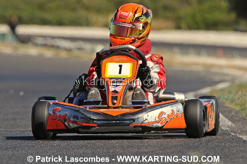 DSC_7163 copie.jpg